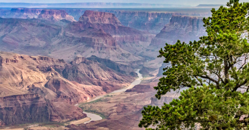 Der Grand Canyon – ein MUST auf jeder Bucket List