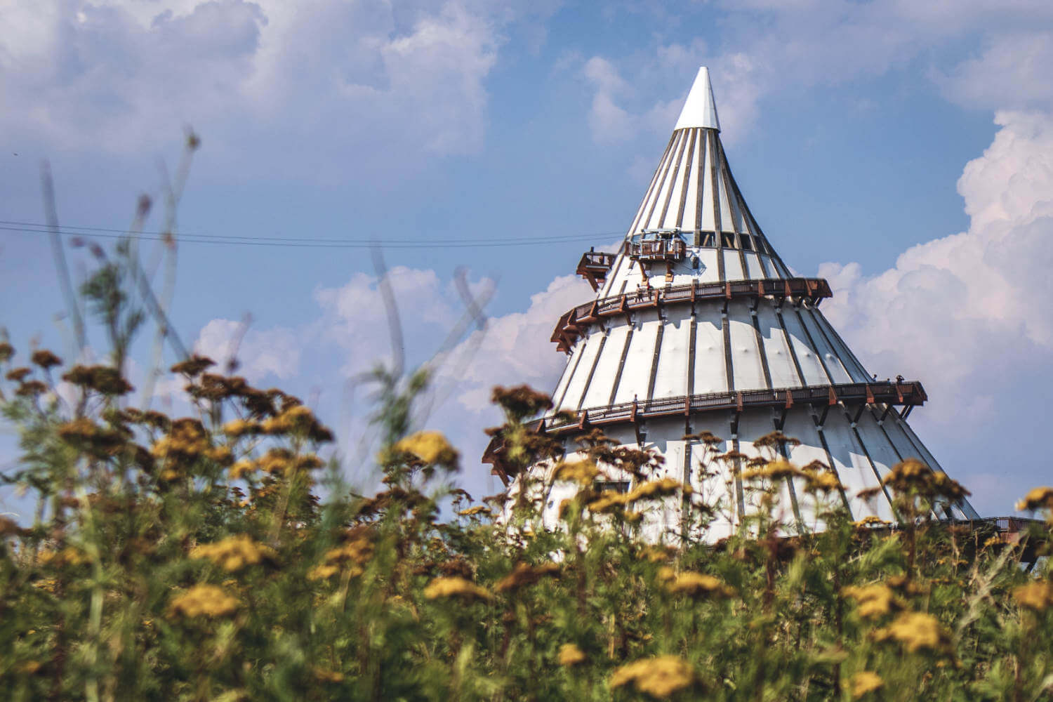 Jahrtausendturm im Elbauenpark Magdeburg hinter einer blühenden Wiese