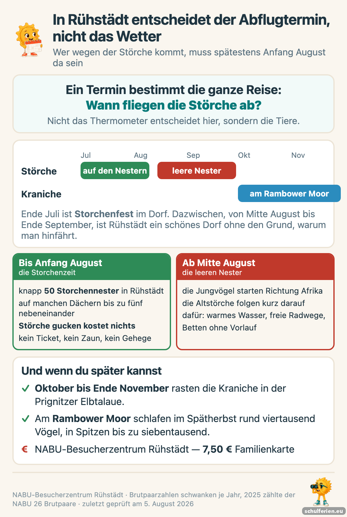 Zeitleiste der Prignitz von Juli bis November: Stoerche sitzen bis Anfang August auf den Nestern in Ruehstaedt, ab Mitte August sind die Nester leer, von Oktober bis Ende November rasten die Kraniche am Rambower Moor