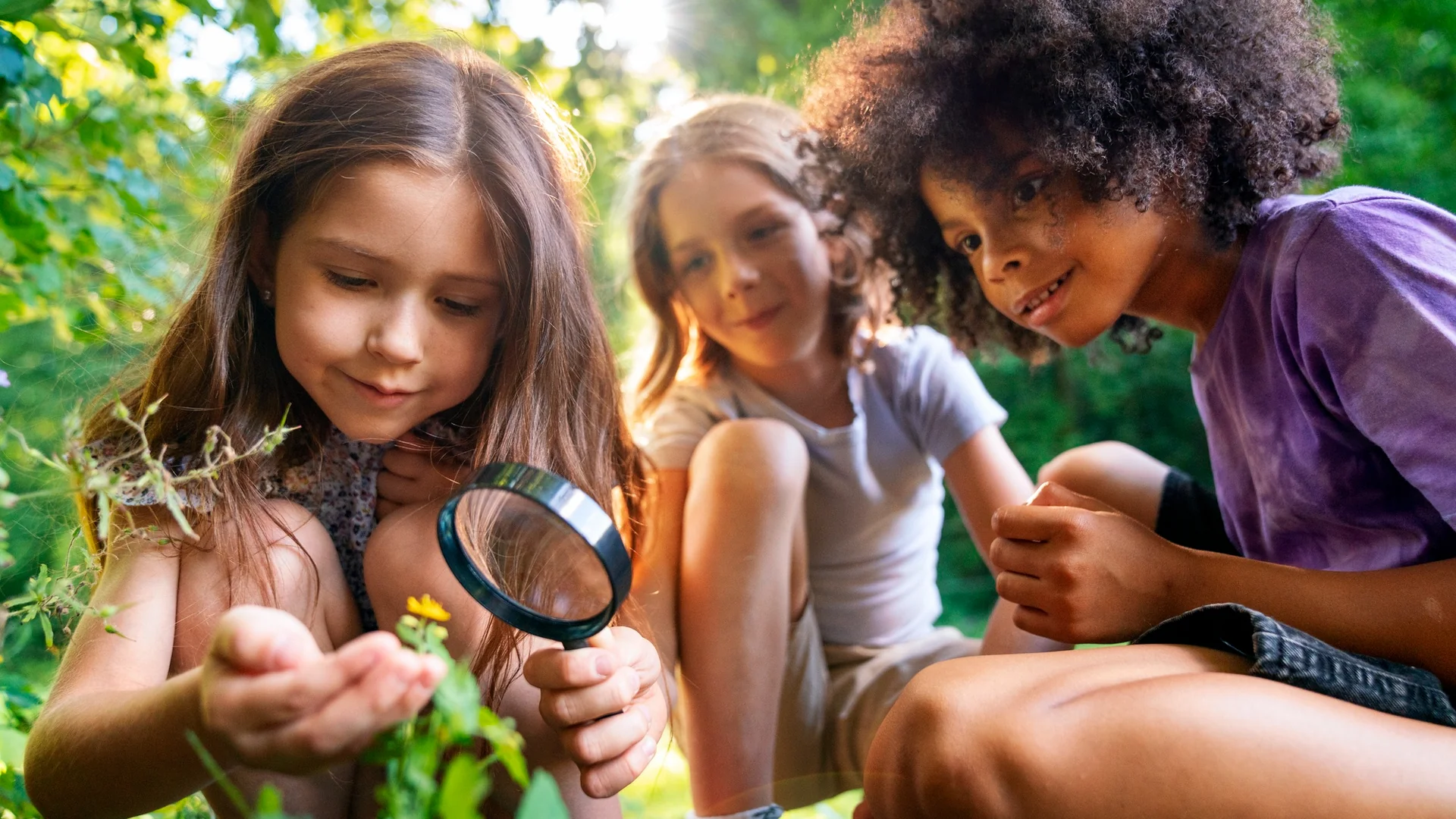 Drei Kinder hocken im Grünen, ein Mädchen betrachtet mit einer Lupe eine kleine gelbe Blüte.